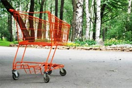 Փորձագետ. Բնակչության միայն 10%-ը կարող է ուշադրություն չդարձնել Ամանորյա թանկացումների վրա