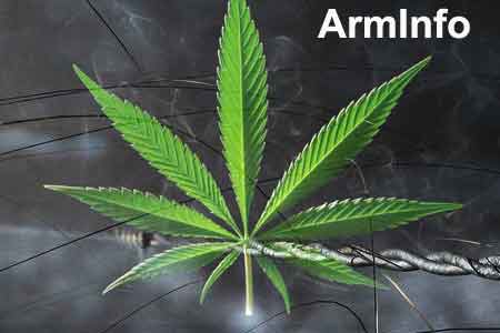 SRC officers discover 10 kg of marijuana smuggled from Iran