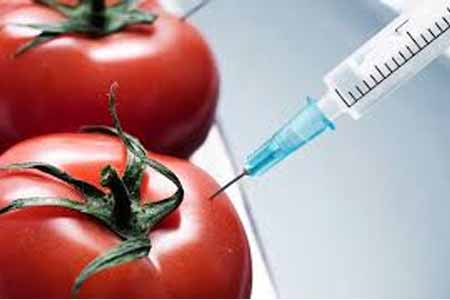 Американский ГМО гигант "Монсанто" реализует свою продукцию на армянском рынке с 2006 года: полномочные структуры Армении находятся в неведении