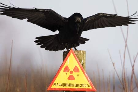 Армения подтвердила приверженность соблюдению Договора о всеобъемлющем запрещении ядерных испытаний