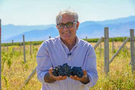The highest mountain organic vineyard in the world has been founded in Armenia (Video)