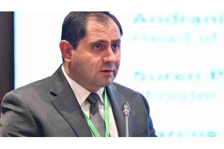 Human rights activist criticizes Armenia`s Ministry of Defense and Suren Papikyan for silence regarding the death of serviceman Torosyan