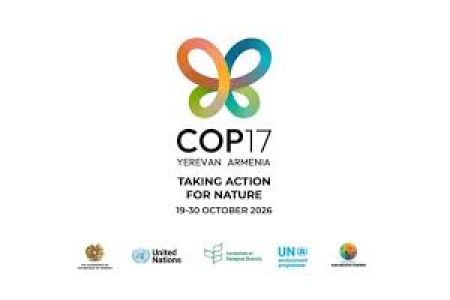 Въезд в Армению для участников  COP-17 будет облегчен