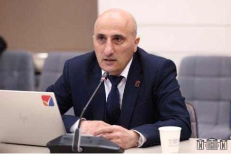 Armenian CEC representative outlines parliamentary election  preparations to IOF Observation Mission Delegation