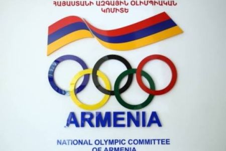 Հայաստանի ազգային օլիմպիական կոմիտեն և մի շարք այլ կազմակերպություններ իրենց անվերապահ աջակցությունն են հայտնել Գարիկ Ծառուկյանին